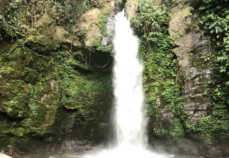 Indahnya Ekowisata di Desa Sulangai Bali